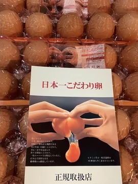 617683981_3936092293188619_7171575009294892893_n (1).jpg