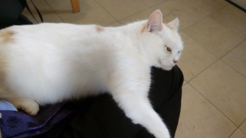 DSC_0141.JPG