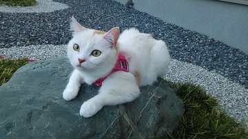 DSC_2072.JPG