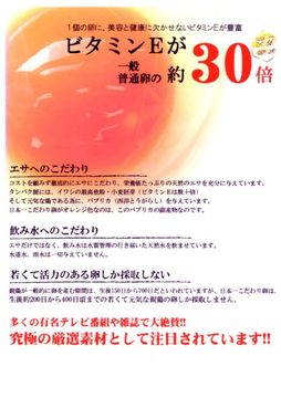 藑.jpg