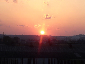 SN3T0488.jpg
